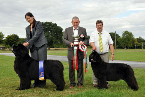 Winners at the Northern Newfoundland Club Championship show - April 2010
