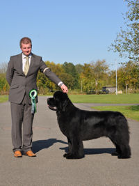 Ch. Brooklynbear Nijinsky