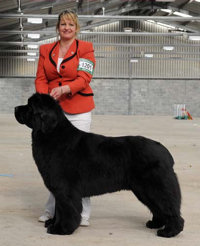 Sandbears Stride'N Style, JW