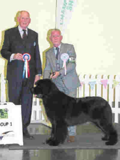 Sandbears Master Mexico at Queenbears, winner of Working Group Puppy at East Of England Agricultural Society 2016