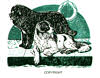 The Newfoundland Club logo