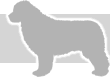 Newfoundland profile