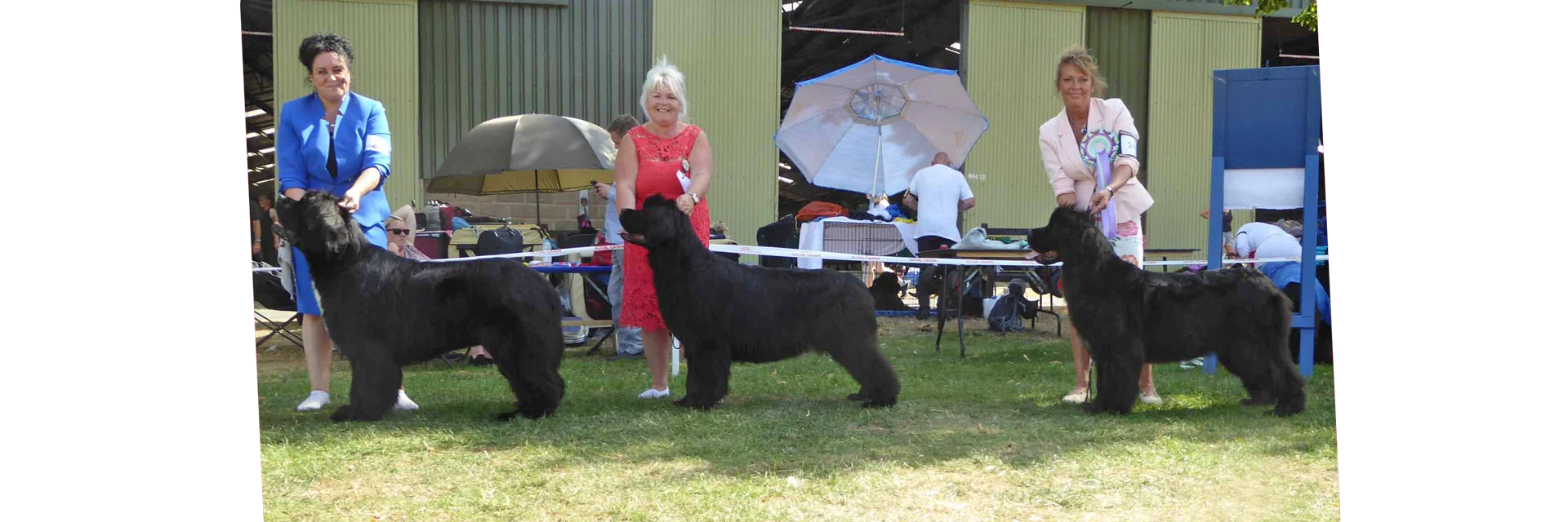 Winners line-up at Newfoundland Club Open Show (at NW&PBS) 2022
