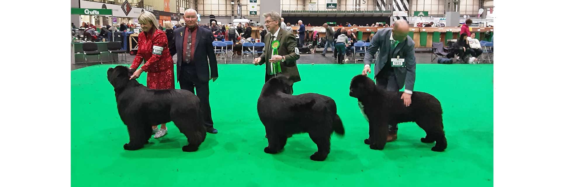 Winners line-up at Crufts 2023