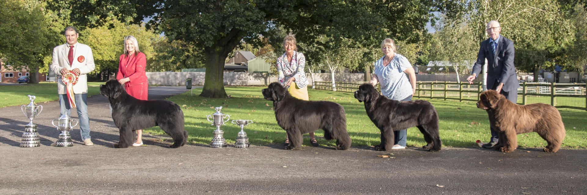 Winners line-up at Newfoundland Club Championship Show 2023