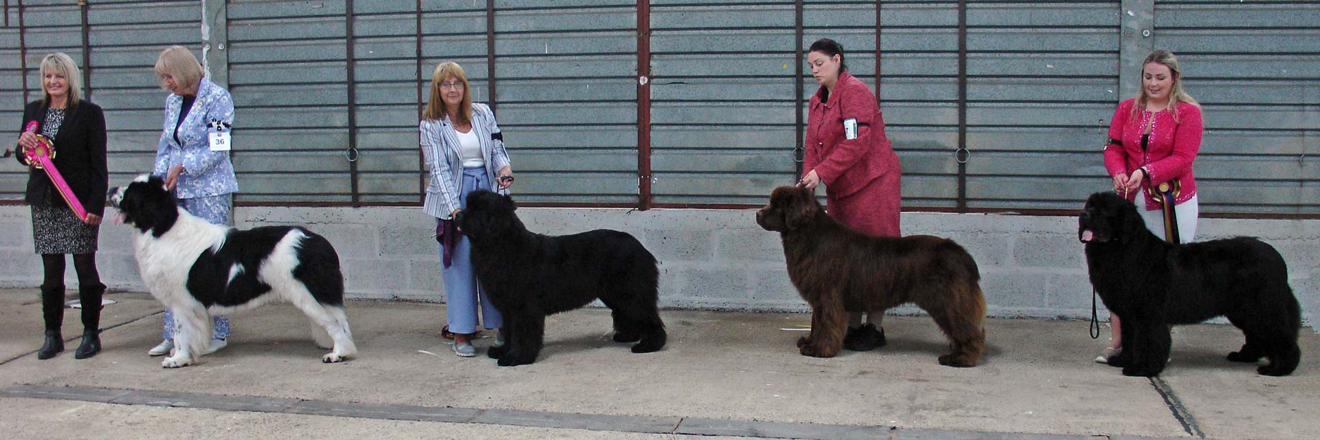 Winners line-up at Newfoundland Club Open Show (at NW&PBS) 2023