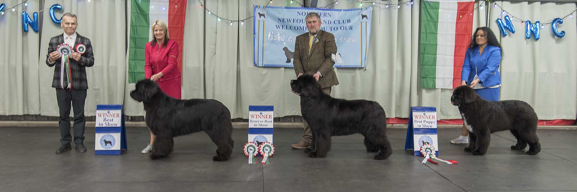 Winners line-up at Northern Newfoundland Club Championship Show 2023