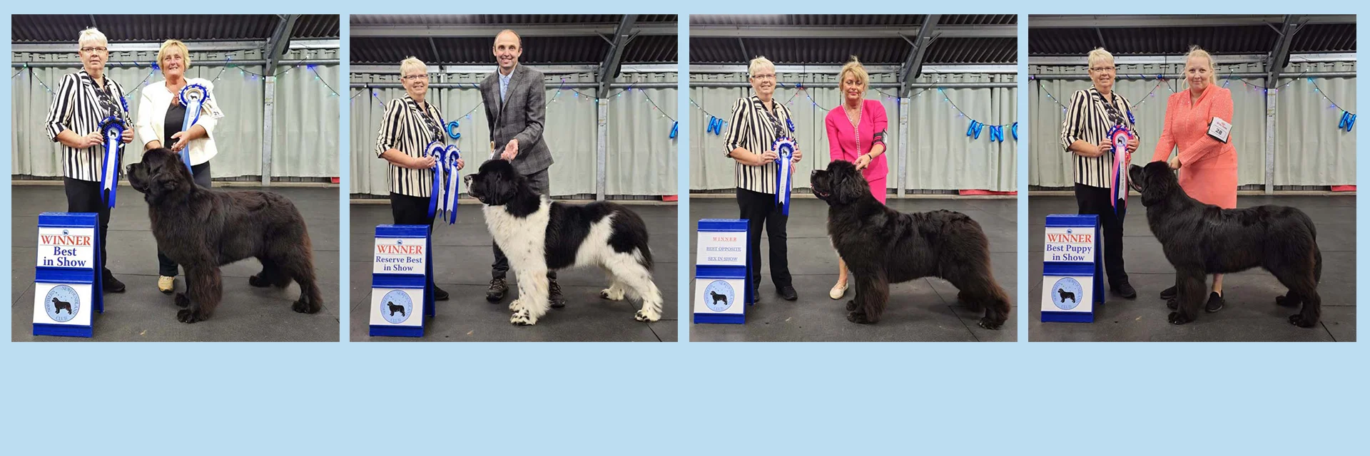 Winners line-up at Northern Newfoundland Club Open Show 2023