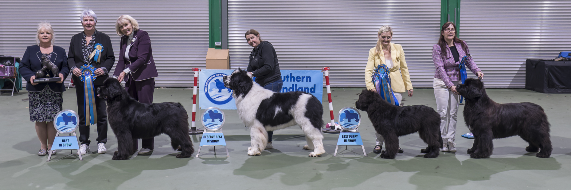 Winners line-up at Southern Newfoundland Club Championship Show 2023