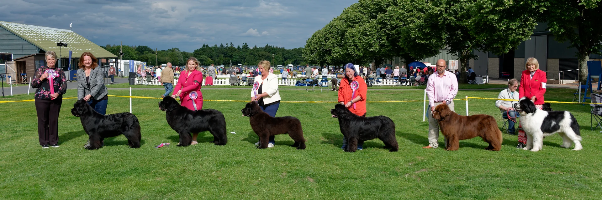 Winners line-up at Newfoundland Club Open Show (at NW&PBS) 2024
