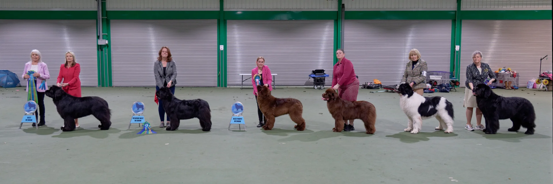 Winners line-up at Southern Newfoundland Club Championship Show November 2024