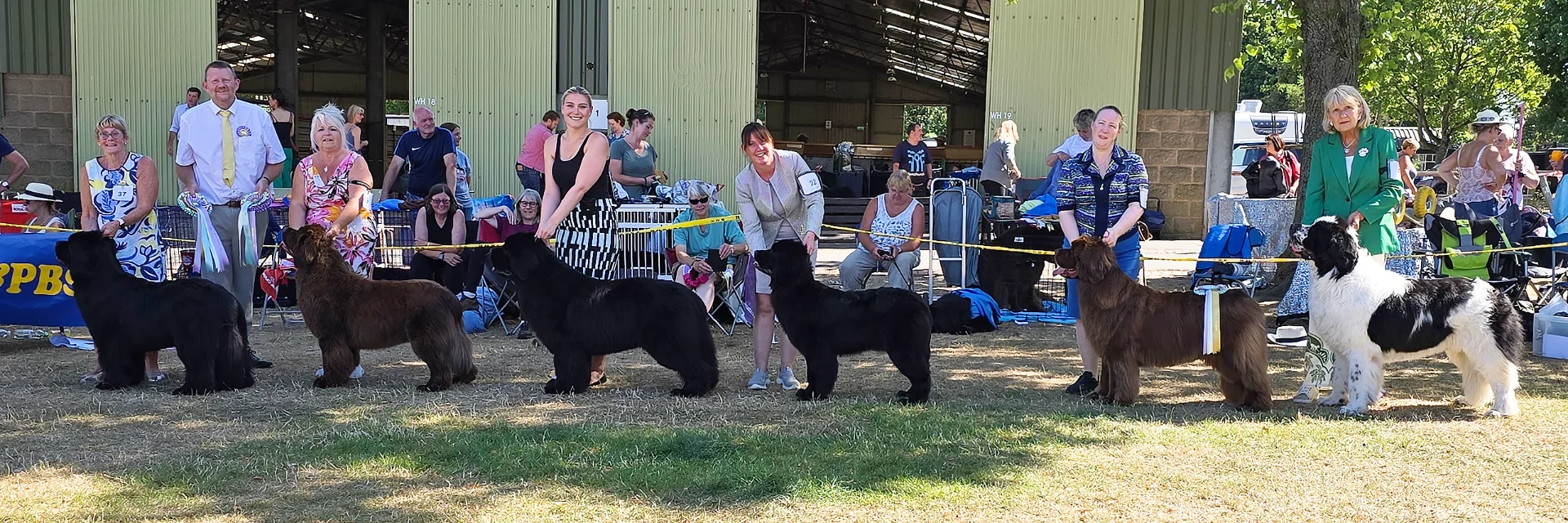 Winners line-up at Newfoundland Club Open Show (at NW&PBS) 2025
