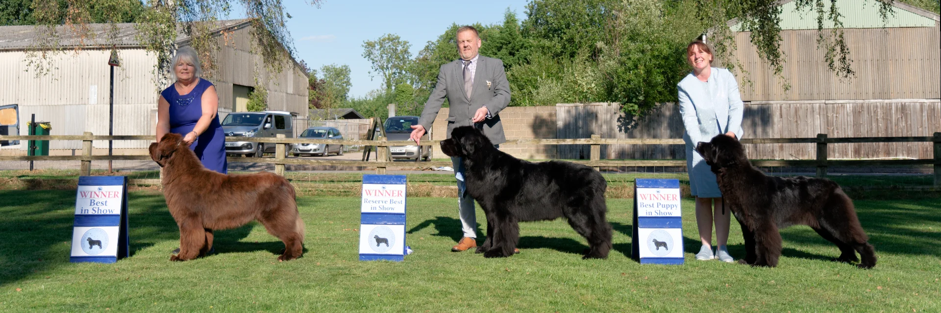 Winners line-up at Northern Newfoundland Club Open Show 2025