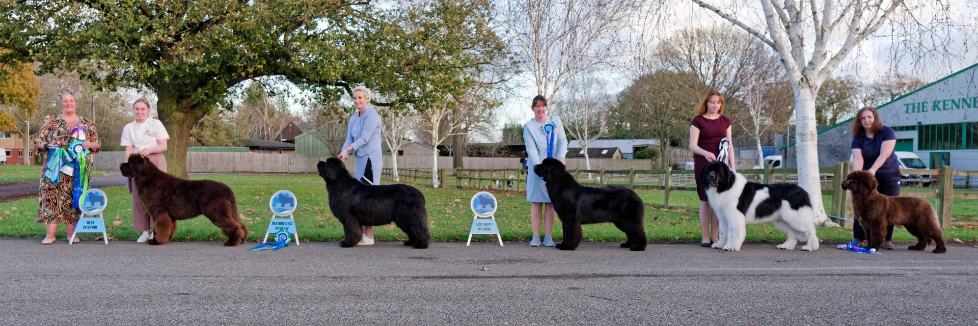 Winners line-up at Southern Newfoundland Club Championship Show November 2025