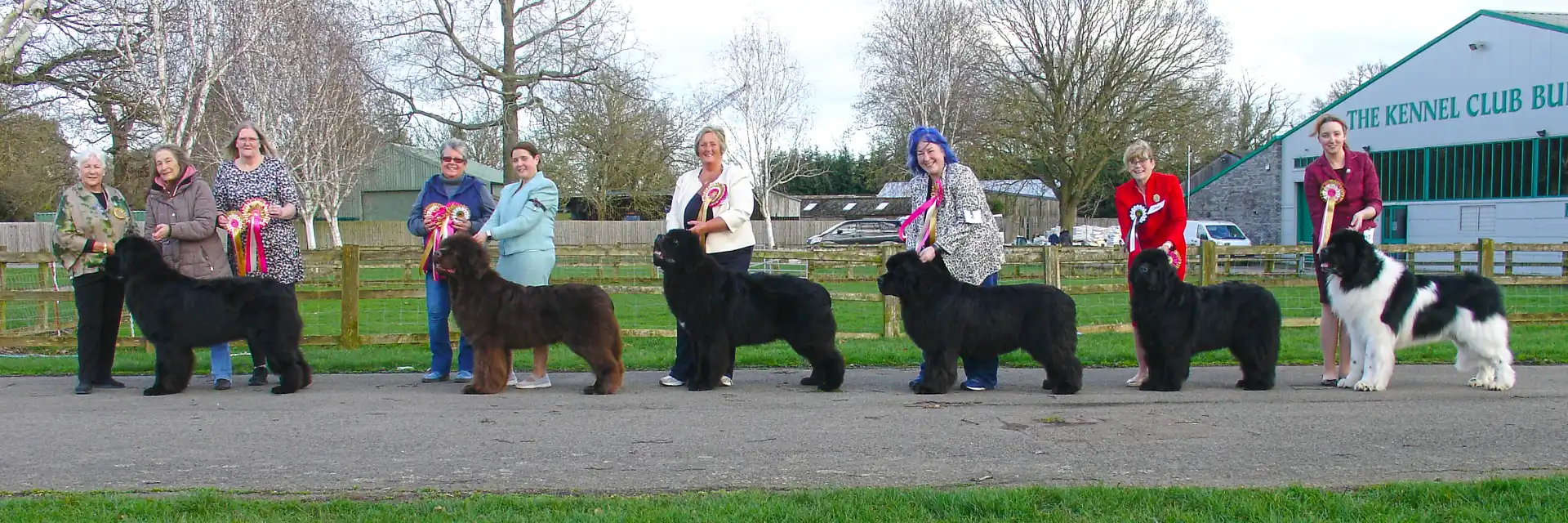 Winners line-up at Newfoundland Club Open Show 2026