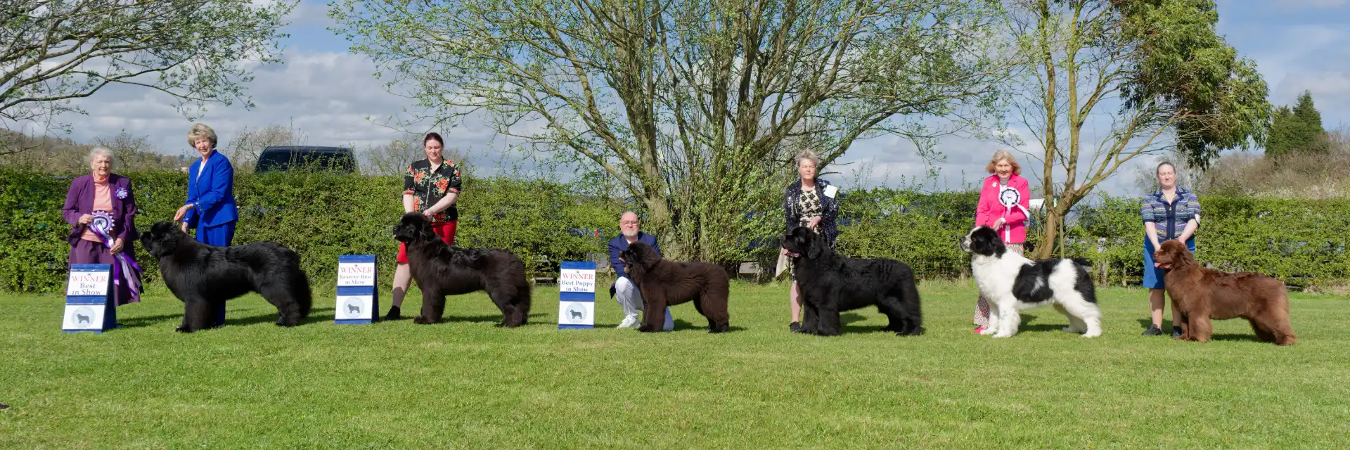 Winners line-up at Northern Newfoundland Club Championship Show April 2026