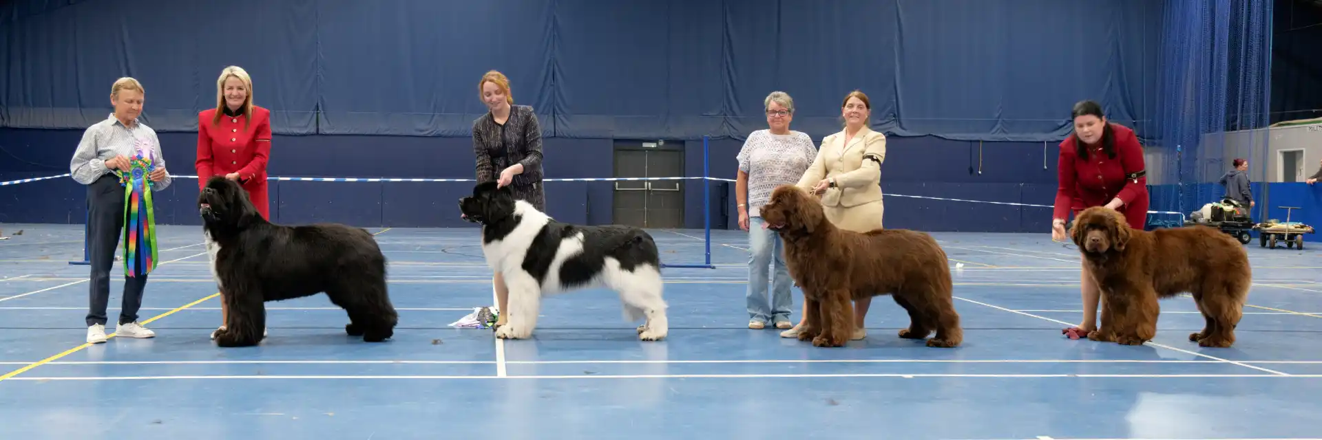 Winners line-up at Southern Newfoundland Club Championship Show May 2026