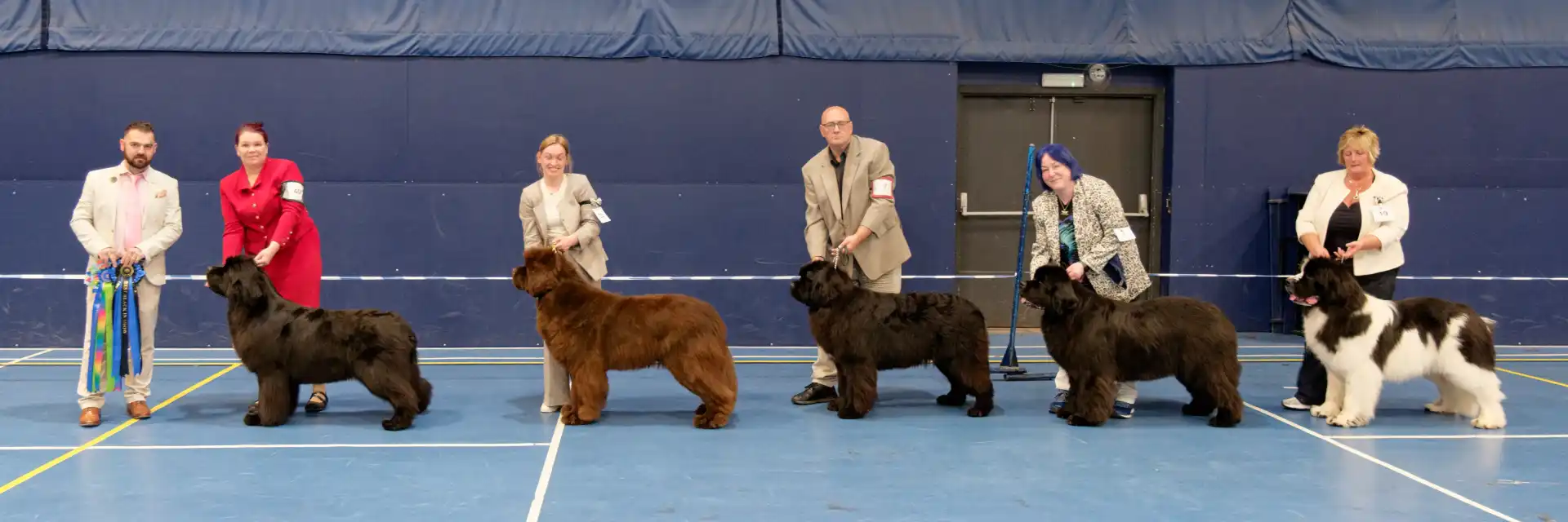 Winners line-up at Southern Newfoundland Club Open Show 2026