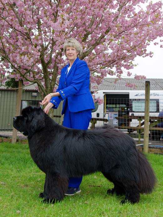 Ch. Two Rivers Wise Choice at Colnbear