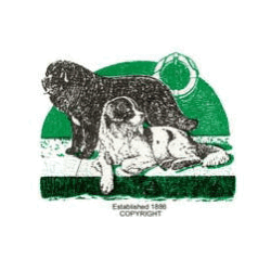 Newfoundland Clubs logos