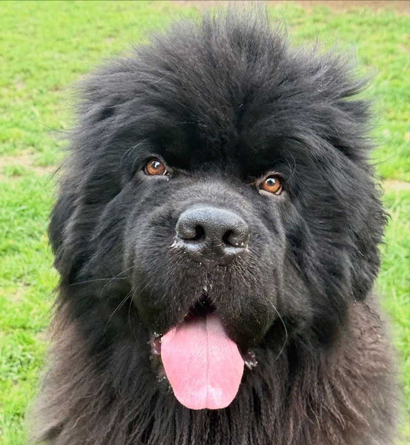 Matti image 4