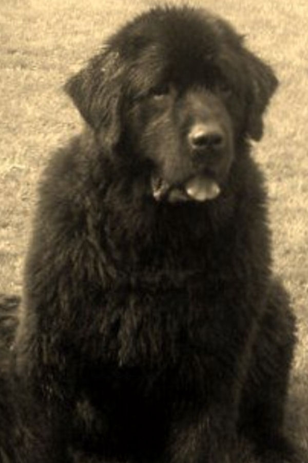 Meg image 1